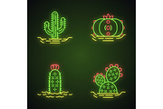 Wild cactuses in ground icon