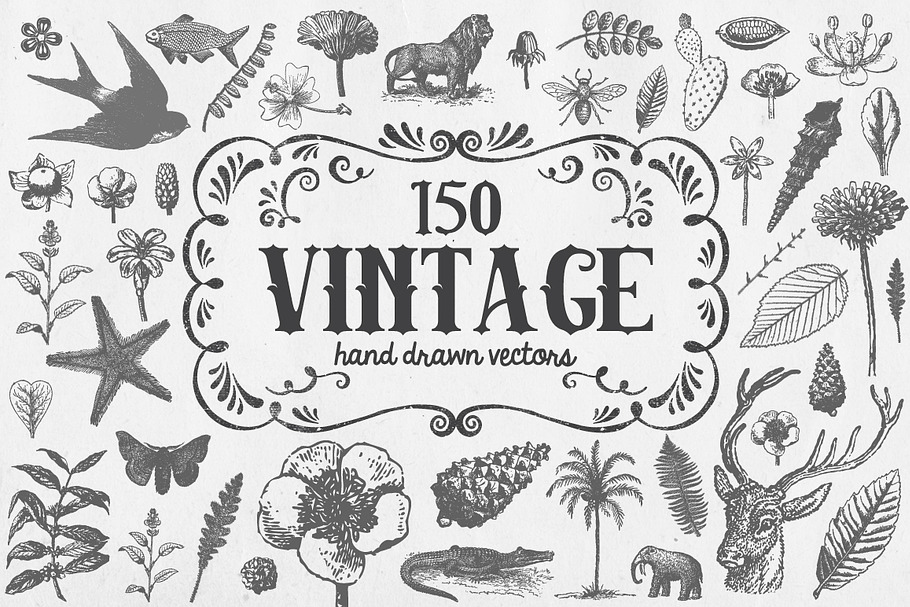 Vintage Vector Illustrations in Illustrations - product preview 8