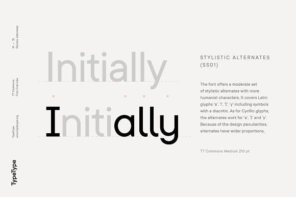 TT Commons | expanded version in Sans-Serif Fonts - product preview 13