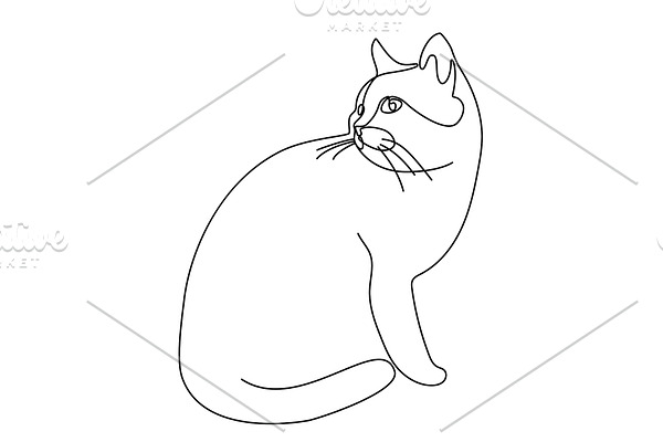 Continuous line drawing. Cat. Vector