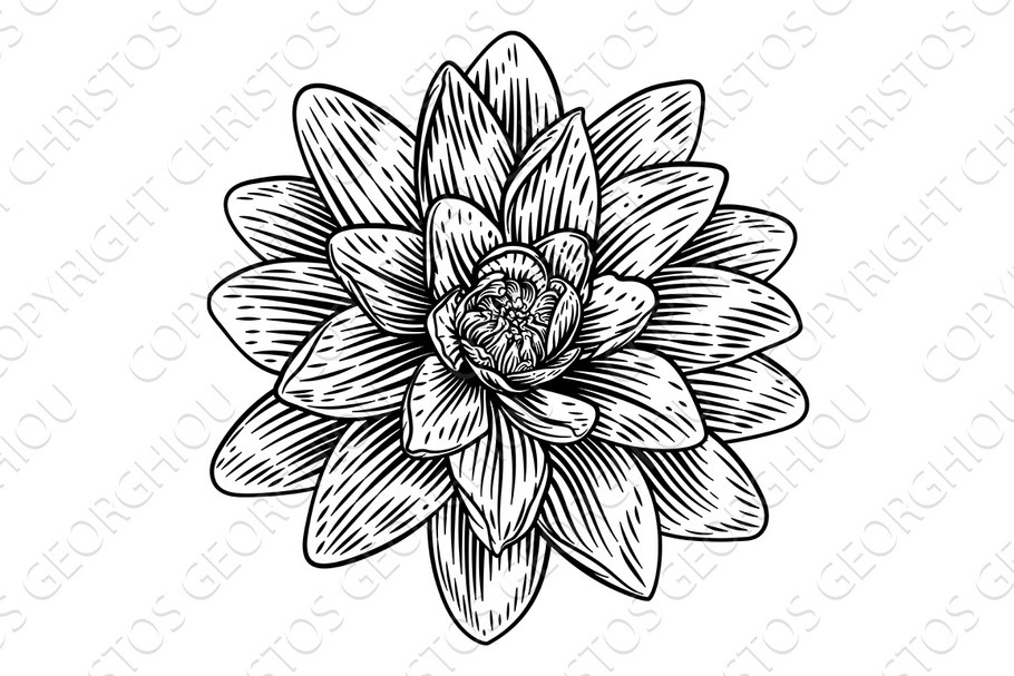Lotus Flower Woodcut Water Lilly