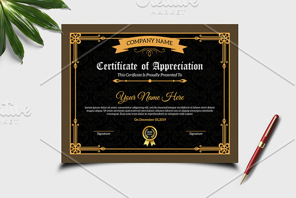Certificate of Appreciation V19 in Stationery Templates - product preview 2