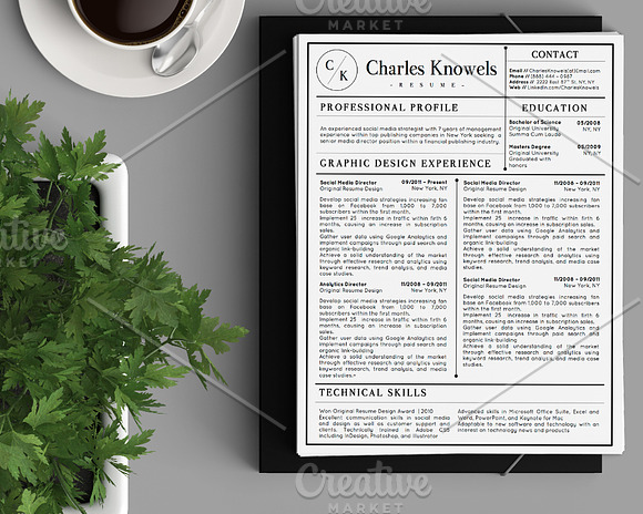 Modern 2-Page Resume CV Template in Resume Templates - product preview 5