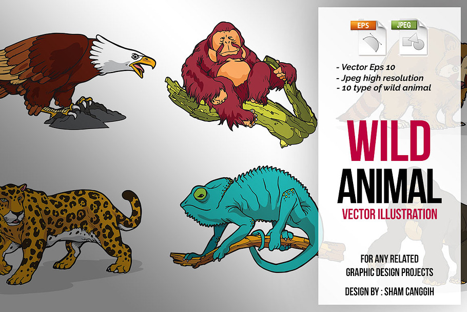 Wild Animal Vector Illustration in Illustrations - product preview 8