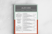 Alex Ani Modern 2-Page Resume