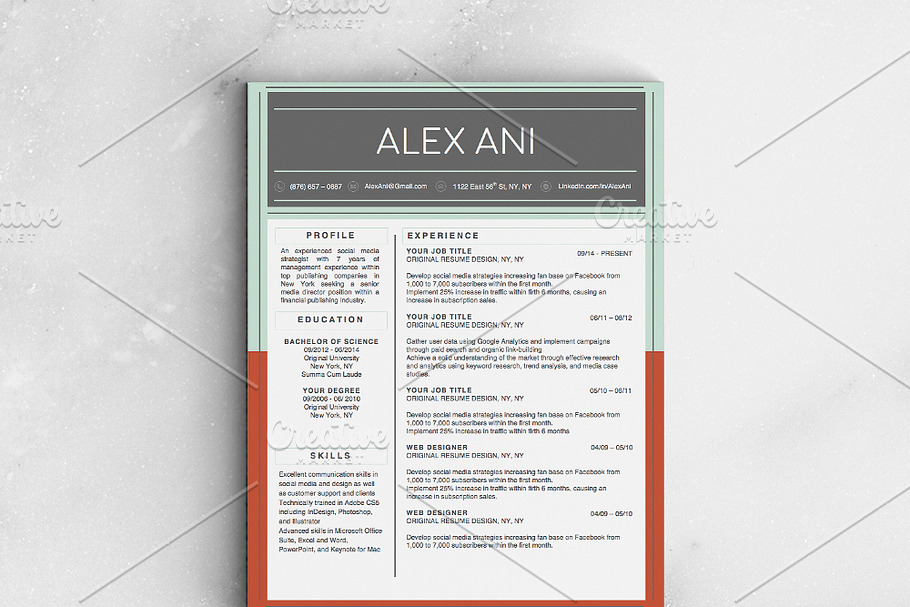 Alex Ani Modern 2-Page Resume in Resume Templates - product preview 8