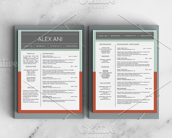 Alex Ani Modern 2-Page Resume in Resume Templates - product preview 1