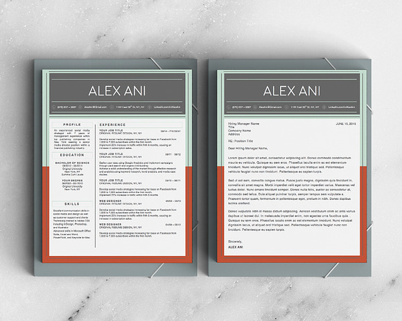 Alex Ani Modern 2-Page Resume in Resume Templates - product preview 3
