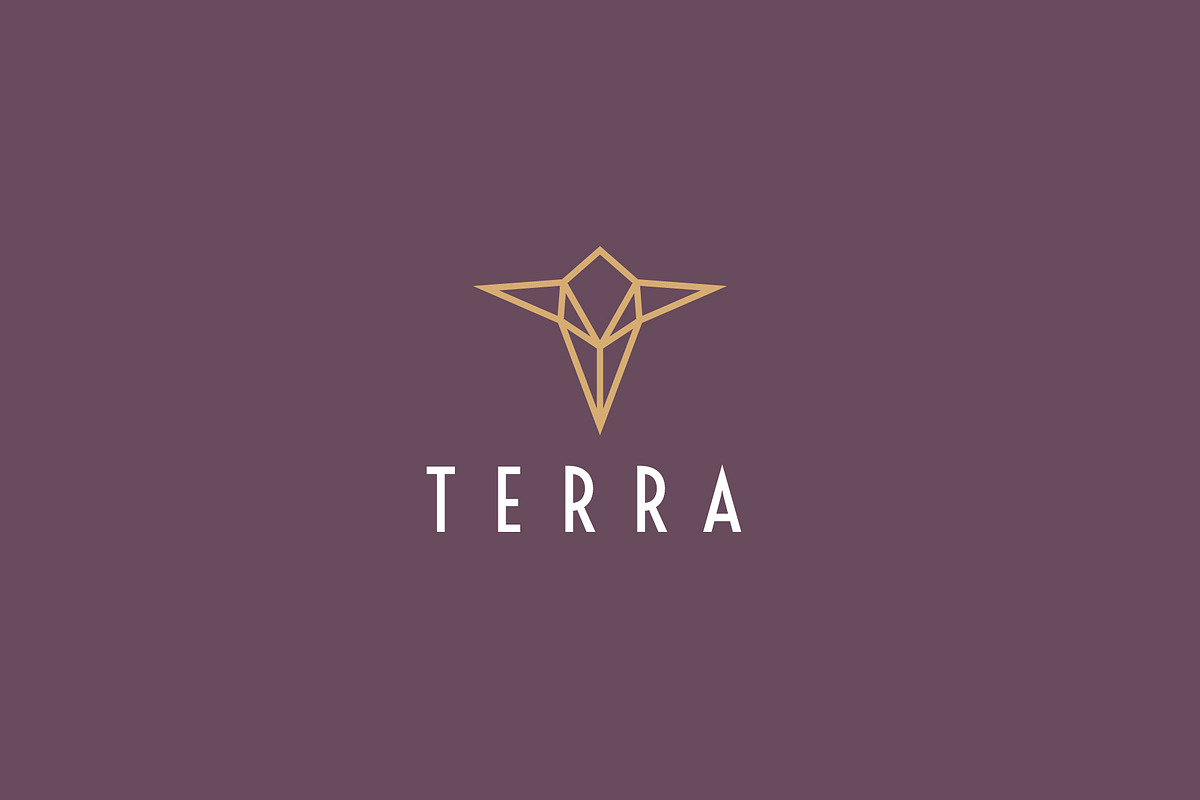Luxury T Logo in Logo Templates - product preview 8