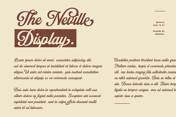 Neville Font in Display Fonts - product preview 2