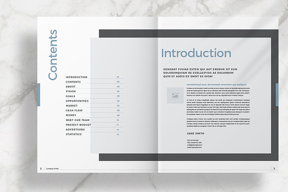 Business Brochure Layout in Brochure Templates - product preview 2