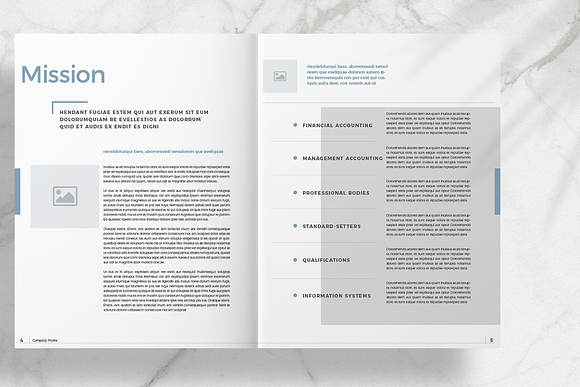 Business Brochure Layout in Brochure Templates - product preview 3