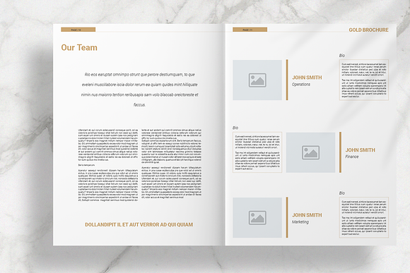 Gold Brochure Layout in Brochure Templates - product preview 6
