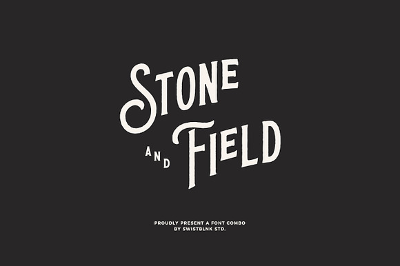 Whole Store Bundle | 95 OFF in Display Fonts - product preview 44