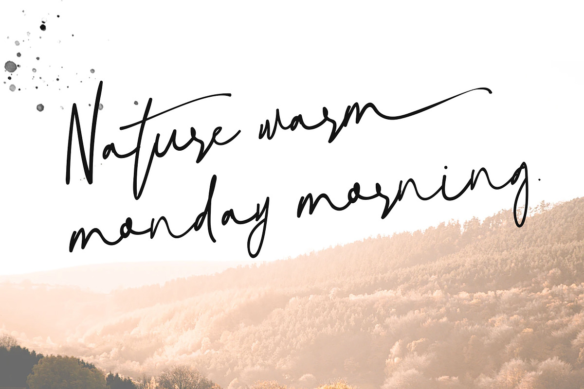 Natural Signature in Script Fonts - product preview 7
