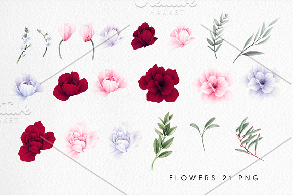 Flowers, crystals and textures(PNG) in Illustrations - product preview 13