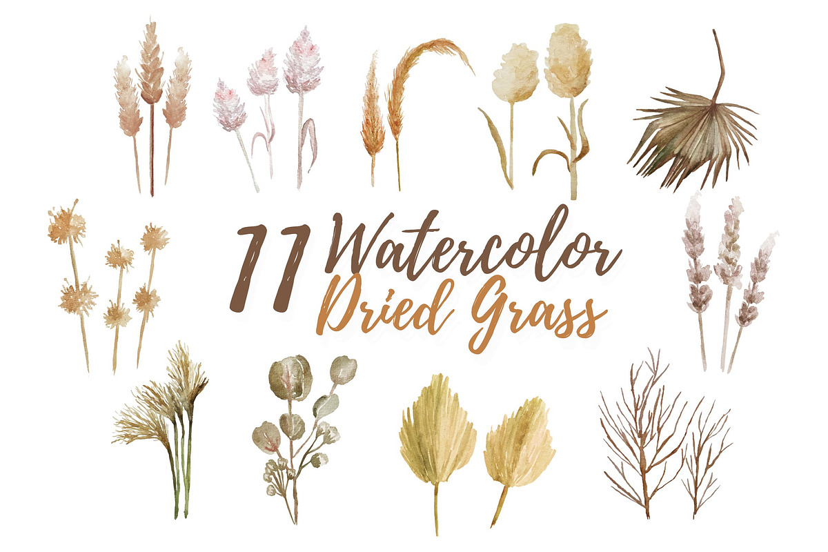 11 Watercolor Dried Grass in Objects - product preview 8