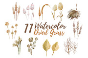 11 Watercolor Dried Grass