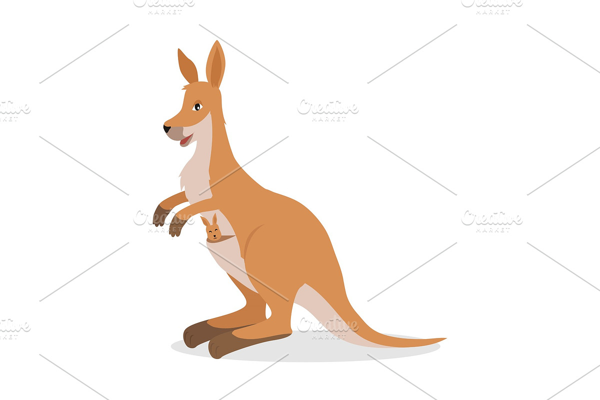 Kangaroo with Joey Baby in Pouch in Illustrations - product preview 8