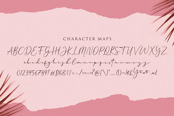 Cherolina-Lovely Elegant Script in Script Fonts - product preview 9