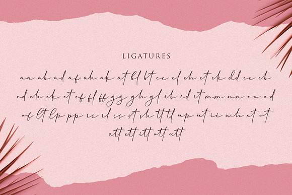 Cherolina-Lovely Elegant Script in Script Fonts - product preview 11