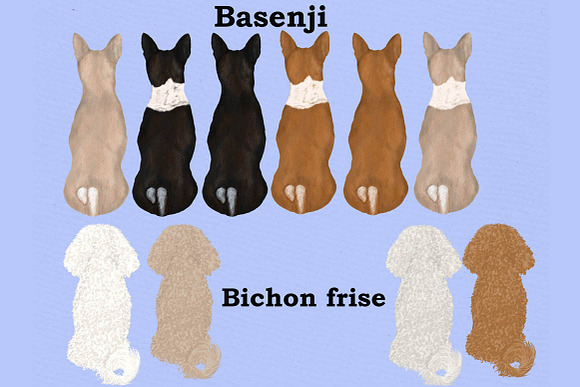 Dog Clipart, Dog breeds, Pet clipart in Illustrations - product preview 2