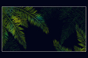 palm trees silhouettes | JPEG