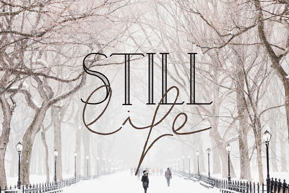 Wintery | Font Family in Serif Fonts - product preview 6