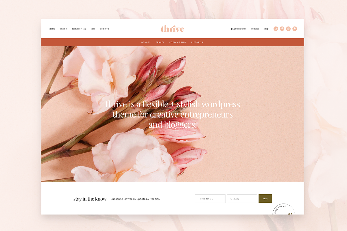 Thrive Blog & Shop WordPress Theme in WordPress Business Themes - product preview 8