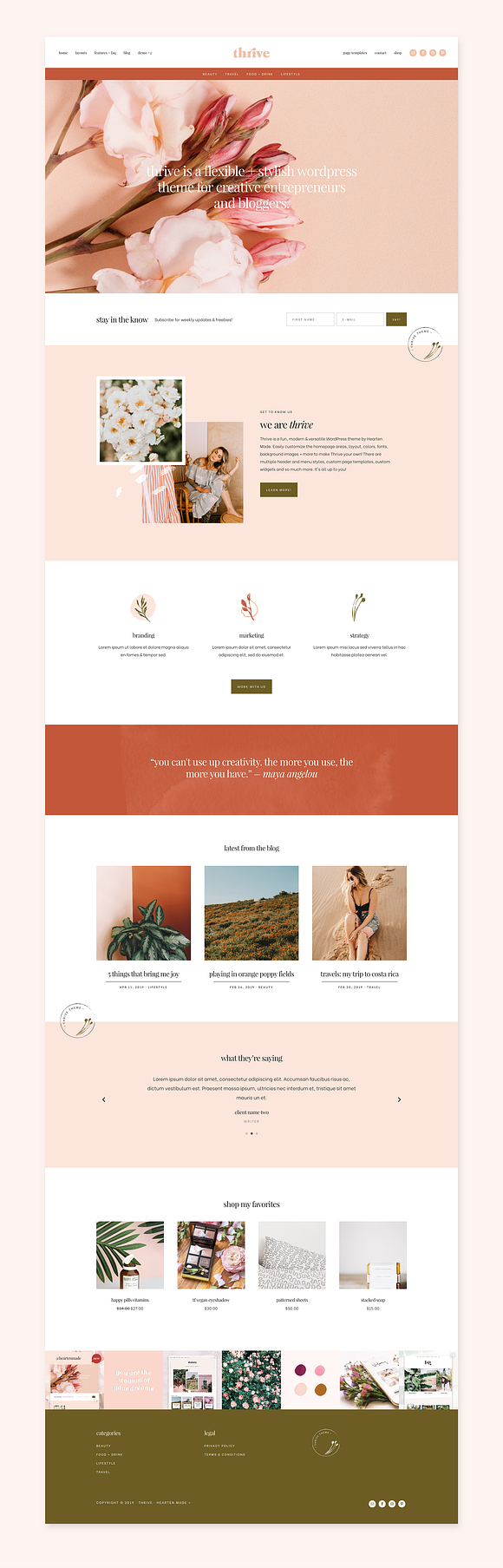 Thrive Blog & Shop WordPress Theme in WordPress Business Themes - product preview 1
