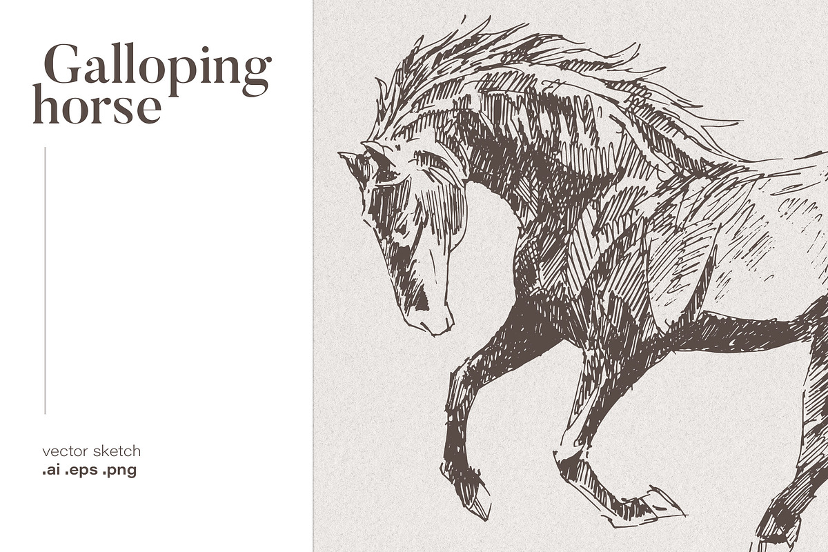 Sketch of a galloping horse in Illustrations - product preview 8