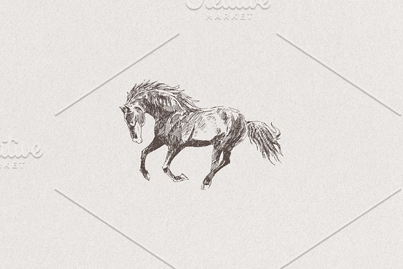 Sketch of a galloping horse in Illustrations - product preview 1