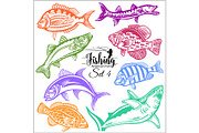 American Fish - vector set 5 for
