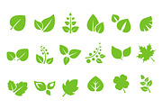 Green Leaves Design Elements