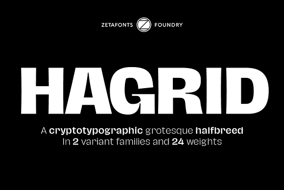 Hagrid 24 fonts + 4 variables in Display Fonts - product preview 3