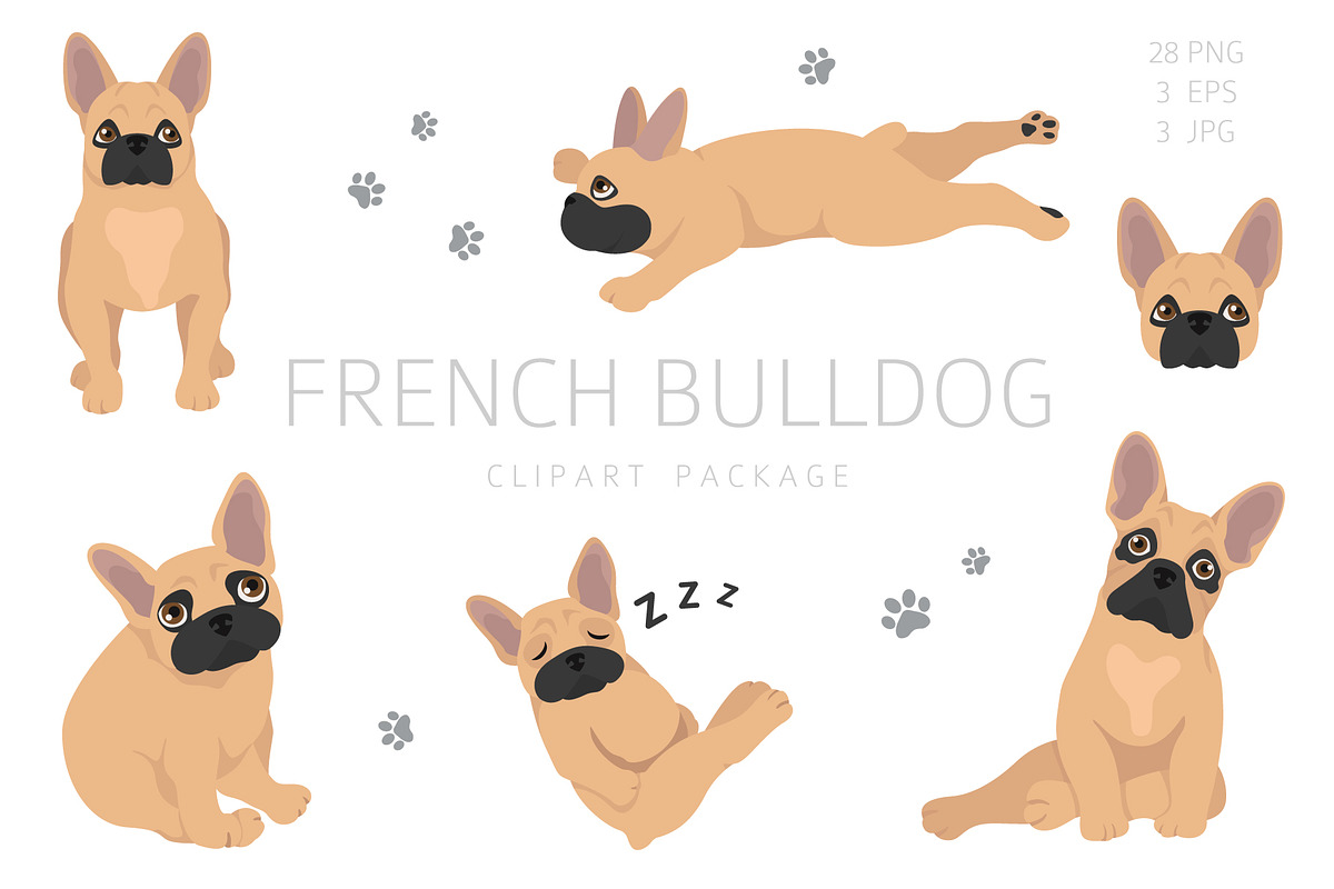 French bulldog clipart in Illustrations - product preview 8