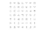 Traditional medicine linear icons