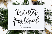 Winter Festival - Calligraphy Font