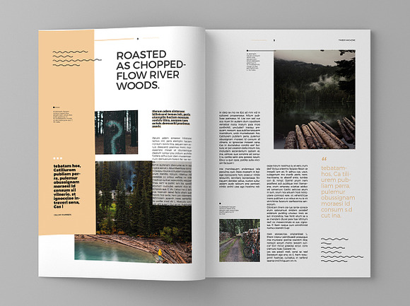 Timber - Magazine Template in Magazine Templates - product preview 4