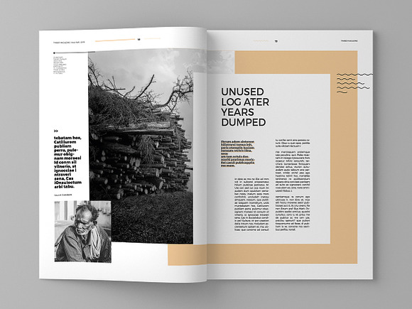 Timber - Magazine Template in Magazine Templates - product preview 7