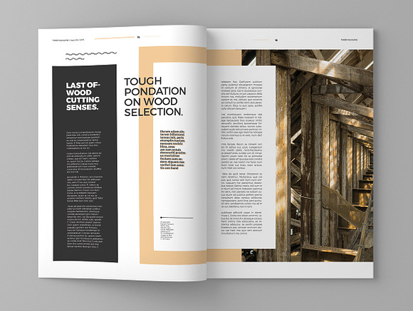 Timber - Magazine Template in Magazine Templates - product preview 8