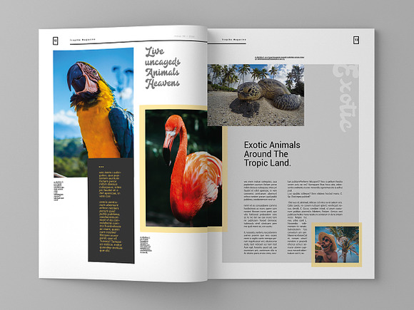 Tropika - Magazine Template in Magazine Templates - product preview 7