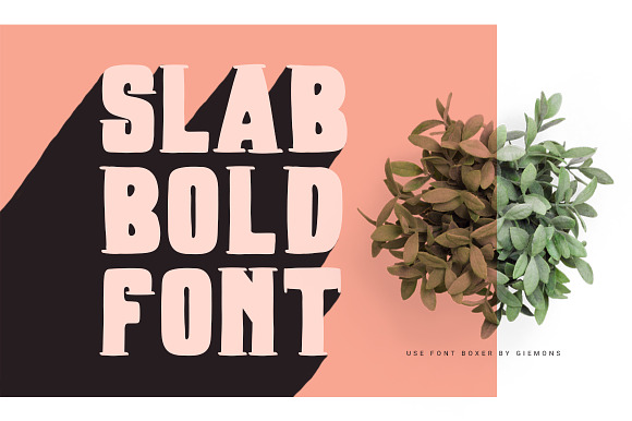 The Bold Font Bundle in Display Fonts - product preview 10