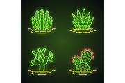Wild cacti in ground icons set