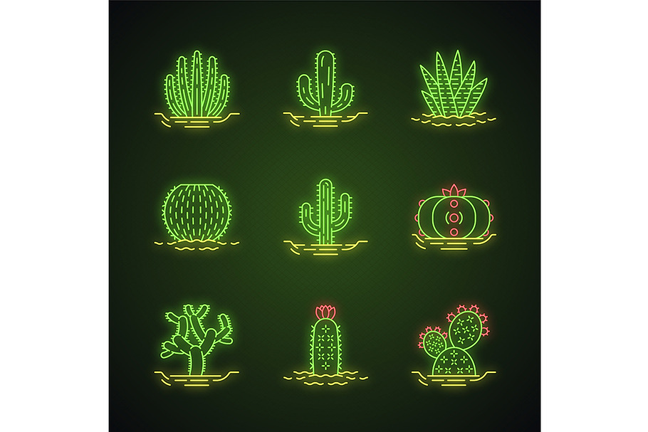 Wild cactuses in ground icons set in Icons - product preview 8