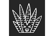 Zebra cactus chalk icon