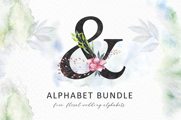 Floral Alphabets. Bundle of Five ABC in Illustrations - product preview 21