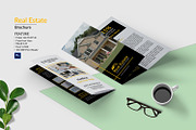 Real Estate Trifold Brochure  V962