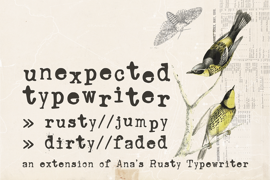 70% OFF! Typewriter Font Bundle in Serif Fonts - product preview 8
