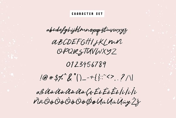 Beautiful Disaster Script Font in Script Fonts - product preview 1